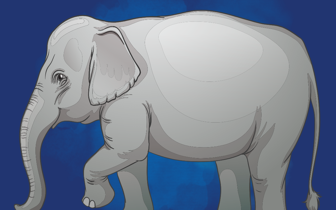 One Blind Man’s Take on Church