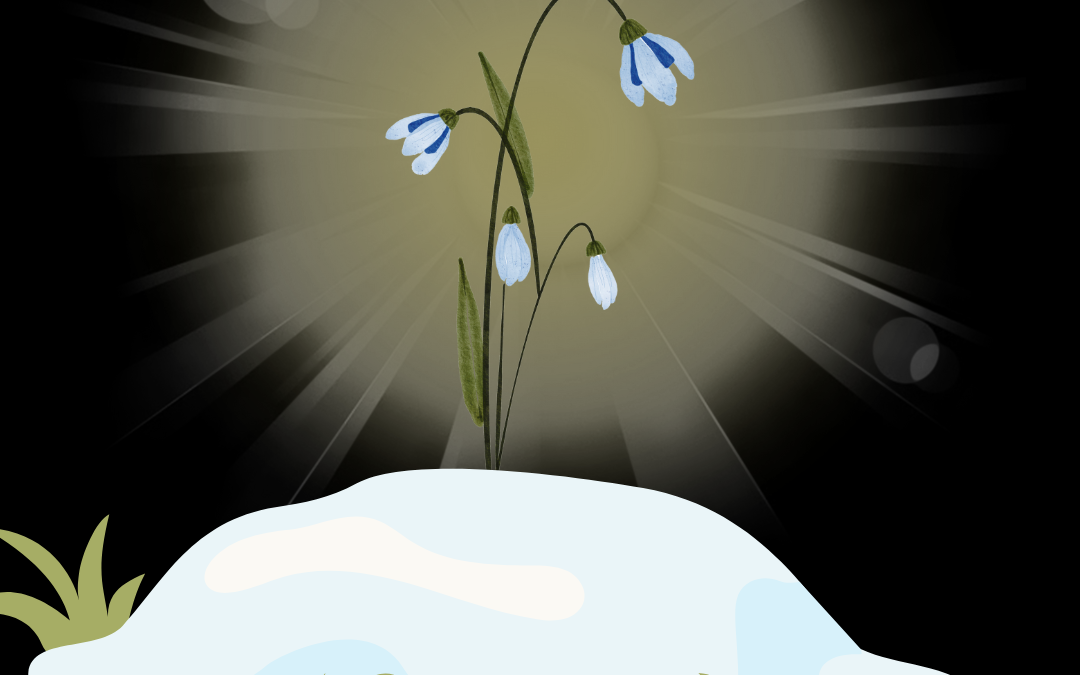 Launching a New Year