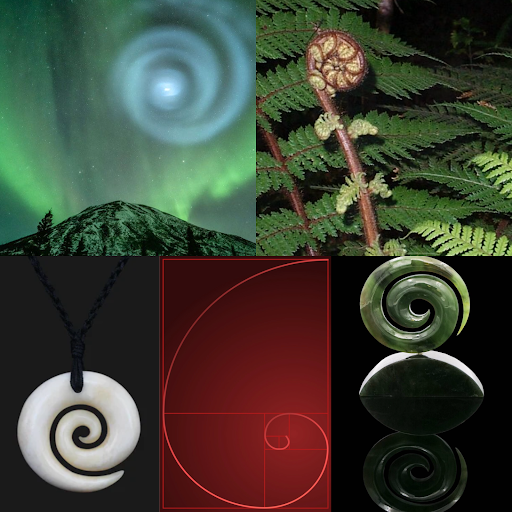Koru: Reflections on Infinity and New Beginnings