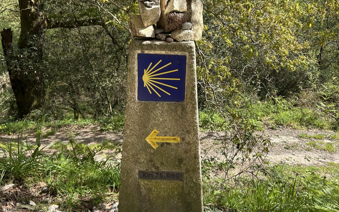 Post-Sabbatical Check-In